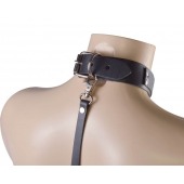 Черный ошейник с металлическими зажимами на соски и поводком - Sitabella - купить с доставкой в Нижнекамске