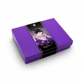 Подарочный набор Naughter Kit - Shunga - купить с доставкой в Нижнекамске