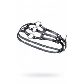 Черный кожаный пояс с кольцами - Pecado - купить с доставкой в Нижнекамске