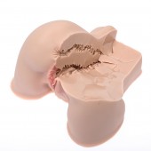 Мастурбатор-полуторс Naked Factory Kate - Naked Factory - в Нижнекамске купить с доставкой