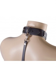 Черный ошейник с металлическими зажимами на соски и поводком - Sitabella - купить с доставкой в Нижнекамске