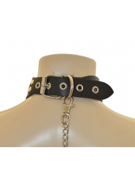 Ошейник  Веселый Роджер - Sitabella - купить с доставкой в Нижнекамске