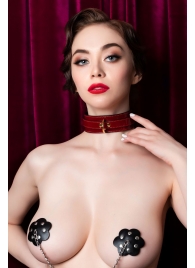 Красный ошейник из лакированного материала - ToyFa - купить с доставкой в Нижнекамске