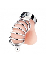 Серебристая клетка для члена Urethral Play Cage - BlueLine - купить с доставкой в Нижнекамске