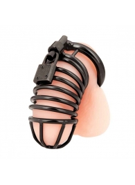 Черная металлическая клетка с замком Deluxe Chastity Cage - BlueLine - купить с доставкой в Нижнекамске