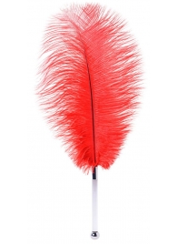 Красное страусовое пёрышко - ToyFa - купить с доставкой в Нижнекамске