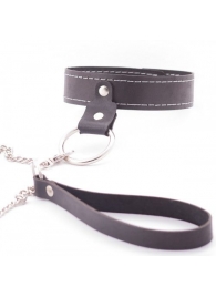 Узкий однослойный ошейник с поводком - Crazy Handmade - купить с доставкой в Нижнекамске