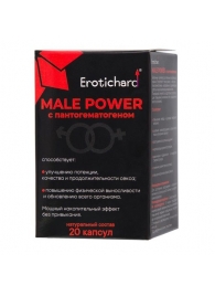 Капсулы для мужчин Erotichard male power с пантогематогеном - 20 капсул (0,370 гр.) - Erotic Hard - купить с доставкой в Нижнекамске