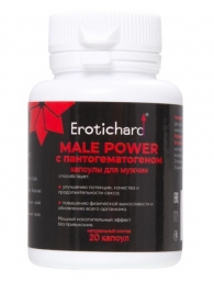 Капсулы для мужчин Erotichard male power с пантогематогеном - 20 капсул (0,370 гр.) - Erotic Hard - купить с доставкой в Нижнекамске