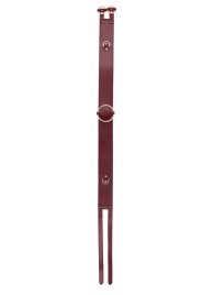 Бордовый ремень Halo Waist Belt - размер L-XL - Shots Media BV - купить с доставкой в Нижнекамске