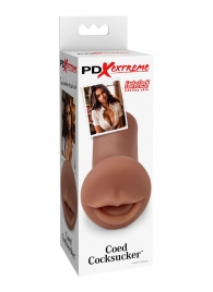Мастурбатор-ротик Coed Cocksucker - Pipedream - в Нижнекамске купить с доставкой