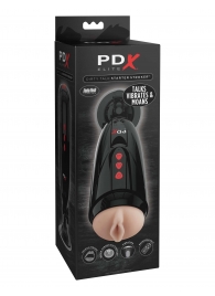 Мастурбатор-вагина с вибрацией Dirty Talk Starter Stroker - Pipedream - в Нижнекамске купить с доставкой