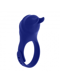 Синее эрекционное виброкольцо с клиторальной подушечкой и пультом ДУ Adjustable Fun Ring - Zero Tolerance - в Нижнекамске купить с доставкой