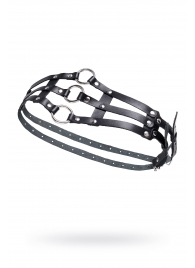 Черный кожаный пояс с кольцами - Pecado - купить с доставкой в Нижнекамске