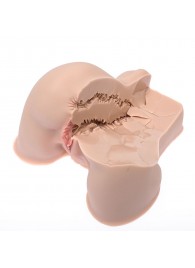 Мастурбатор-полуторс Naked Factory Kate - Naked Factory - в Нижнекамске купить с доставкой