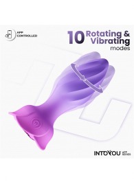 Интерактивная анальная вибропробка с вращением Moxy - Intoyou
