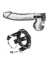 Утяжка на пенис на замочке Duo Cock And Ball Lock - BlueLine - купить с доставкой в Нижнекамске