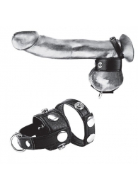 Утяжка для мошонки и пениса Cock Ring With 1  Ball Stretcher And Optional Weight Ring - BlueLine - купить с доставкой в Нижнекамске
