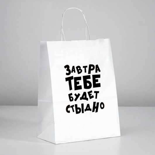 Подарочный пакет  Завтра тебе будет стыдно  - 30 х 24 см. - UPAK LAND - купить с доставкой в Нижнекамске