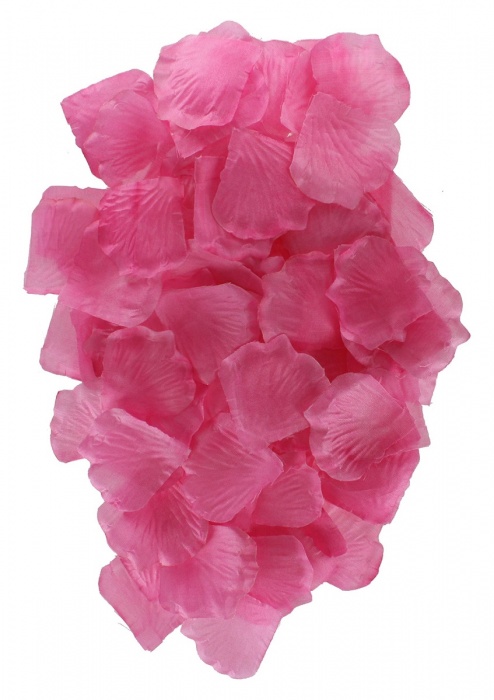 Эротический набор FANTASTIC PURPLE SEX TOY KIT - Toy Joy - купить с доставкой в Нижнекамске