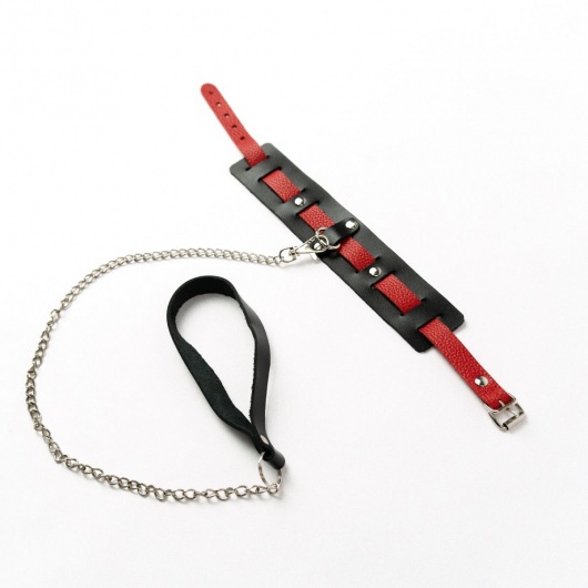 Черный ошейник с красным ремешком и поводком - Crazy Handmade - купить с доставкой в Нижнекамске