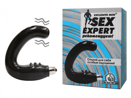 Чёрный массажёр простаты серии Sex Expert - Sex Expert - в Нижнекамске купить с доставкой