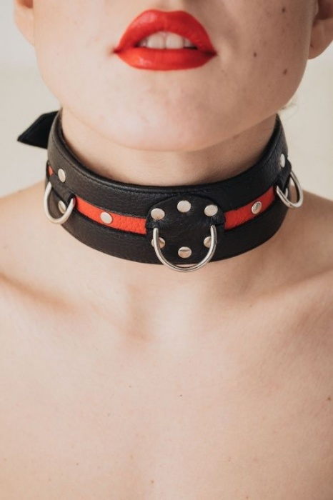 Черно-красный ошейник на пряжке - БДСМ Арсенал - купить с доставкой в Нижнекамске