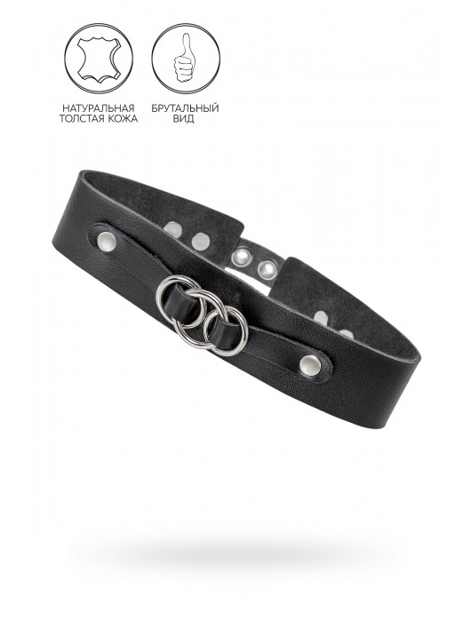 Черный чокер-ошейник со связанными кольцами на подложке - Pecado - купить с доставкой в Нижнекамске