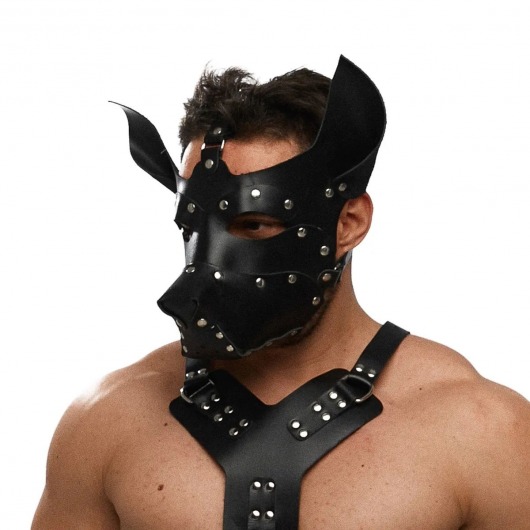 Черная кожаная маска «Собака» - Crazy Handmade - купить с доставкой в Нижнекамске