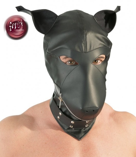 Шлем-маска Dog Mask в виде морды собаки - Orion - купить с доставкой в Нижнекамске