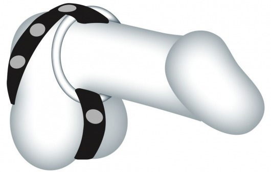 Подхват для мошонки с 3 съемными эрекционными кольцами Leder-Riemen - Orion - в Нижнекамске купить с доставкой