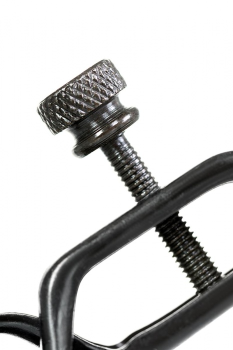 Черно-золотистые зажимы для сосков TOYFA Theatre - ToyFa - купить с доставкой в Нижнекамске