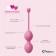 Набор из 3 розовых вагинальных шариков FemmeFit Advanced Pelvic Muscle Training Set - FeelzToys в Нижнекамске Набор из 3 розовых вагинальных шариков FemmeFit Advanced Pelvic Muscle Training Set - FeelzToys